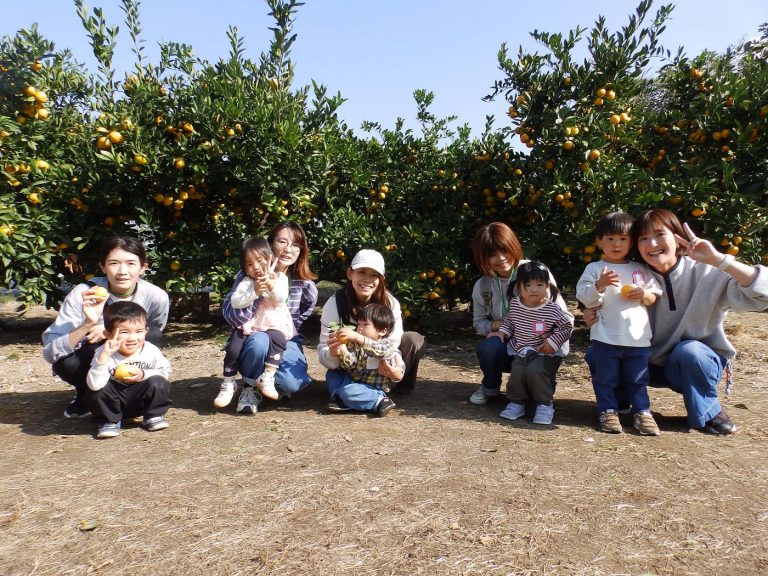 ふたば・いちご教室　⑱　みかん狩り