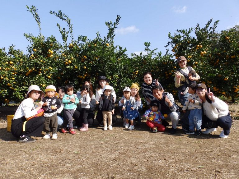 ふたば・いちご教室　⑲　みかん狩り