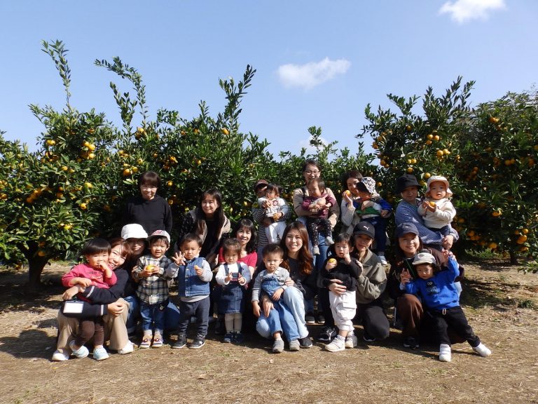 ふたば・いちご教室　⑳　みかん狩り