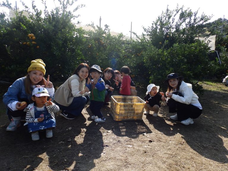ふたば・いちご教室　㉓　みかん狩り