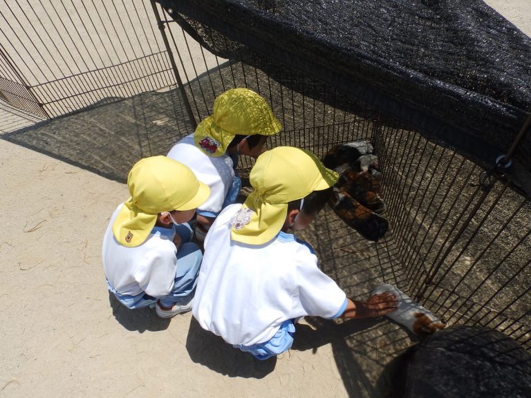 こども動物園　⑩　まつ組