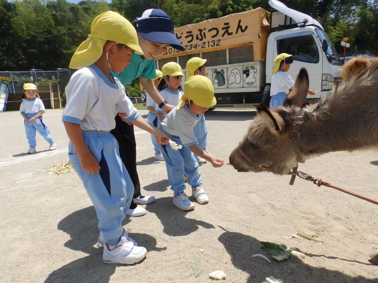 こども動物園　⑫　まつ組
