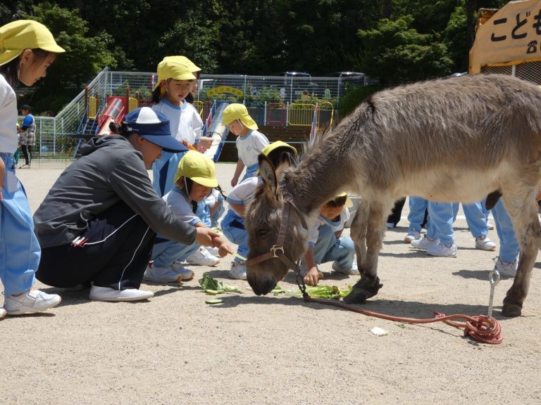 こども動物園　⑬　たけ組