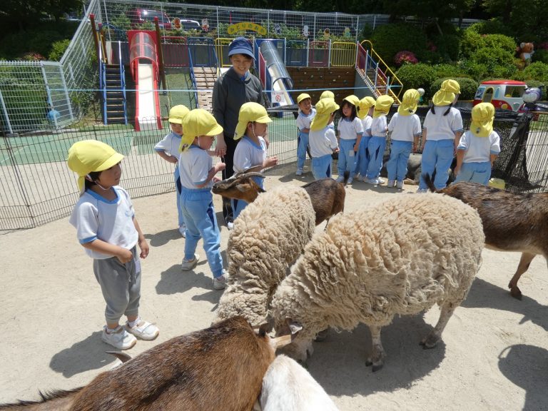 こども動物園　⑭　たけ組