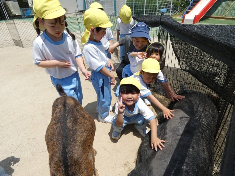 こども動物園　⑮　たけ組