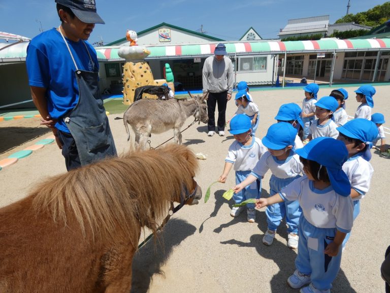 こども動物園　⑰　さくら組