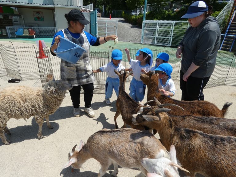こども動物園　⑲　さくら組