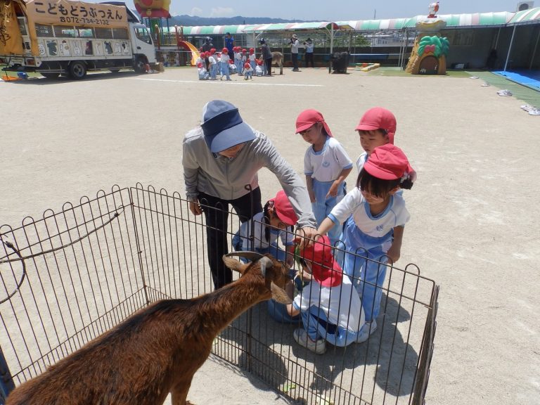 こども動物園　②　すみれ組