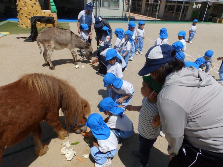 こども動物園　㉔　ばら組・もも組