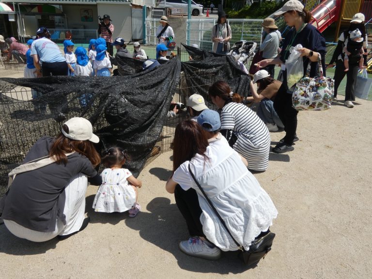 こども動物園　㉘　ふたば・いちご