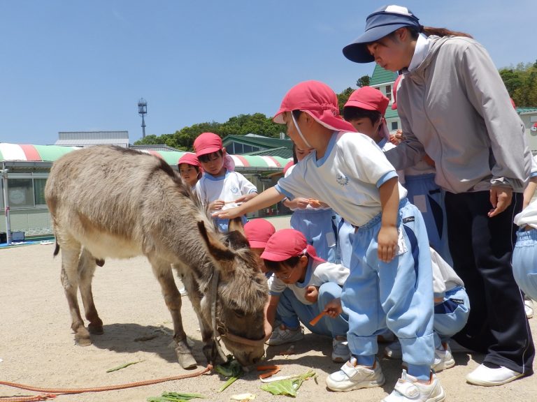 こども動物園　③　すみれ組