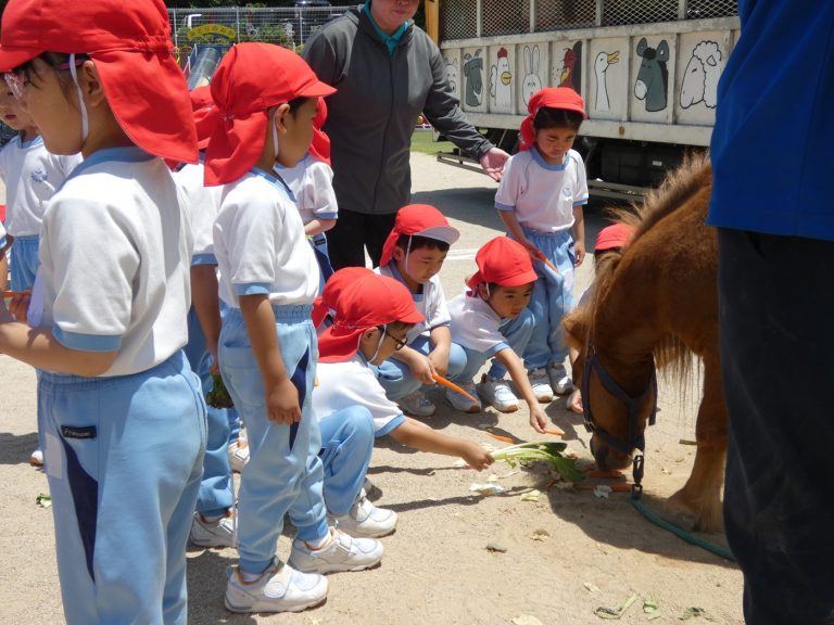 こども動物園　⑤　ゆり組