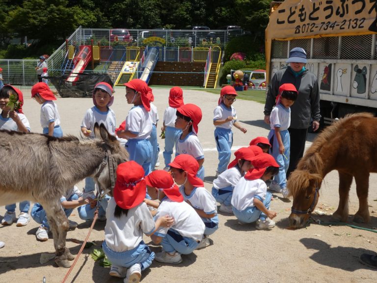 こども動物園　⑦　ゆり組