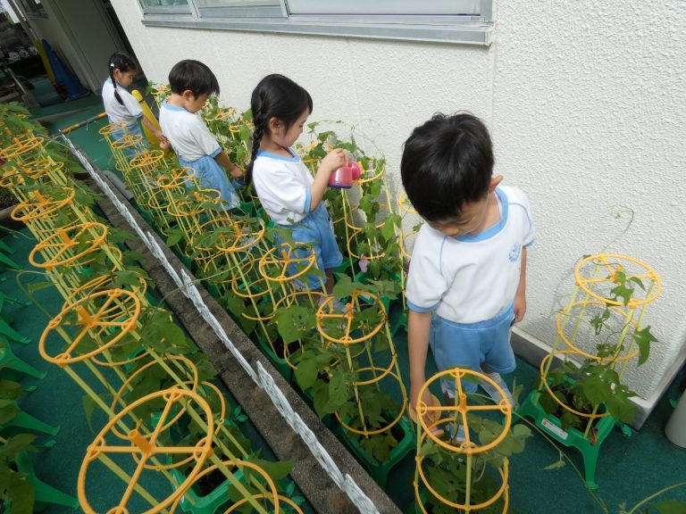 あさがお　⑳　年長組