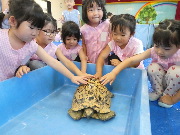 巡回水族館　⑪　年中組