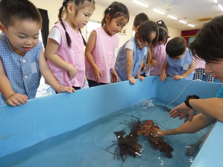 巡回水族館　⑫　年中組