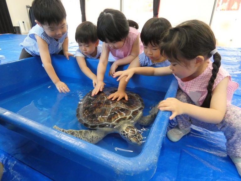 巡回水族館　⑭　ばら組