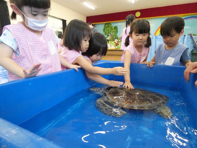 巡回水族館　⑯　さくら組