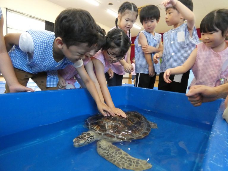 巡回水族館　⑦　年中組
